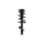 FCS Struts 1331622L Suspension Strut and Coil Spring Assembly