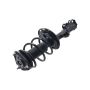 FCS Struts 1331622L Suspension Strut and Coil Spring Assembly