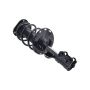 FCS Struts 1331622L Suspension Strut and Coil Spring Assembly