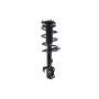 FCS Struts 1331622R Suspension Strut and Coil Spring Assembly