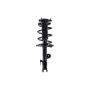 FCS Struts 1331622R Suspension Strut and Coil Spring Assembly