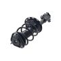 FCS Struts 1331622R Suspension Strut and Coil Spring Assembly