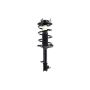 FCS Struts 1331623R Suspension Strut and Coil Spring Assembly