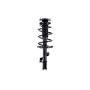 FCS Struts 1331626L Suspension Strut and Coil Spring Assembly