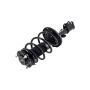 FCS Struts 1331626R Suspension Strut and Coil Spring Assembly