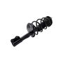 FCS Struts 1331628L Suspension Strut and Coil Spring Assembly
