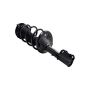 FCS Struts 1331628L Suspension Strut and Coil Spring Assembly