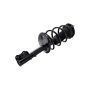 FCS Struts 1331628R Suspension Strut and Coil Spring Assembly