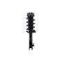 FCS Struts 1331629L Suspension Strut and Coil Spring Assembly