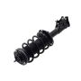 FCS Struts 1331629L Suspension Strut and Coil Spring Assembly