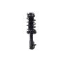 FCS Struts 1331629R Suspension Strut and Coil Spring Assembly