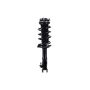 FCS Struts 1331629R Suspension Strut and Coil Spring Assembly