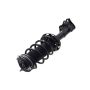 FCS Struts 1331629R Suspension Strut and Coil Spring Assembly