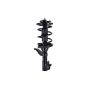 FCS Struts 1331631L Suspension Strut and Coil Spring Assembly
