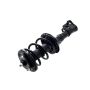 FCS Struts 1331631L Suspension Strut and Coil Spring Assembly
