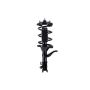 FCS Struts 1331632L Suspension Strut and Coil Spring Assembly