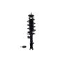 FCS Struts 1331633L Suspension Strut and Coil Spring Assembly