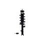 FCS Struts 1331633R Suspension Strut and Coil Spring Assembly