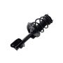 FCS Struts 1331634L Suspension Strut and Coil Spring Assembly