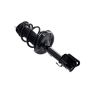 FCS Struts 1331634L Suspension Strut and Coil Spring Assembly