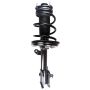 FCS Struts 1331634R Suspension Strut and Coil Spring Assembly