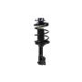 FCS Struts 1331642L Suspension Strut and Coil Spring Assembly
