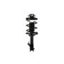 FCS Struts 1331642L Suspension Strut and Coil Spring Assembly