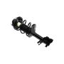 FCS Struts 1331642L Suspension Strut and Coil Spring Assembly