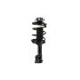 FCS Struts 1331642R Suspension Strut and Coil Spring Assembly