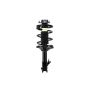 FCS Struts 1331642R Suspension Strut and Coil Spring Assembly