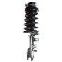 FCS Struts 1331645L Suspension Strut and Coil Spring Assembly