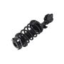 FCS Struts 1331645R Suspension Strut and Coil Spring Assembly