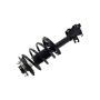 FCS Struts 1331646L Suspension Strut and Coil Spring Assembly