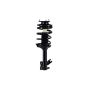 FCS Struts 1331647L Suspension Strut and Coil Spring Assembly