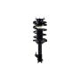 FCS Struts 1331647L Suspension Strut and Coil Spring Assembly