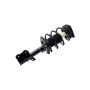 FCS Struts 1331648L Suspension Strut and Coil Spring Assembly