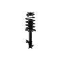 FCS Struts 1331651L Suspension Strut and Coil Spring Assembly