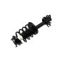 FCS Struts 1331651L Suspension Strut and Coil Spring Assembly