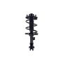 FCS Struts 1331657L Suspension Strut and Coil Spring Assembly