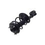 FCS Struts 1331657L Suspension Strut and Coil Spring Assembly