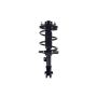 FCS Struts 1331657R Suspension Strut and Coil Spring Assembly