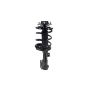 FCS Struts 1331659R Suspension Strut and Coil Spring Assembly