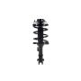 FCS Struts 1331659R Suspension Strut and Coil Spring Assembly