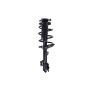FCS Struts 1331660L Suspension Strut and Coil Spring Assembly