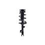 FCS Struts 1331660L Suspension Strut and Coil Spring Assembly