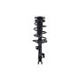 FCS Struts 1331660R Suspension Strut and Coil Spring Assembly