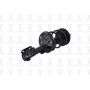 FCS Struts 1331661L Suspension Strut and Coil Spring Assembly