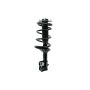 FCS Struts 1331666 Suspension Strut and Coil Spring Assembly