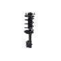 FCS Struts 1331667 Suspension Strut and Coil Spring Assembly