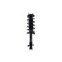 FCS Struts 1331674L Suspension Strut and Coil Spring Assembly